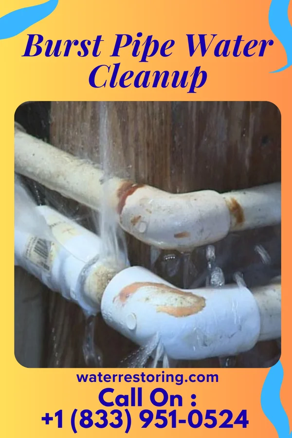 Burst Pipe Water Cleanup in McKeansburg, PA