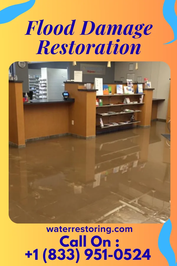 Flood Damage Restoration in McKeansburg, PA