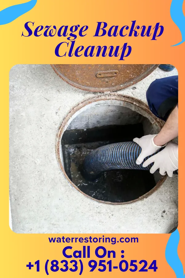 Sewage Backup Cleanup in McKeansburg, PA