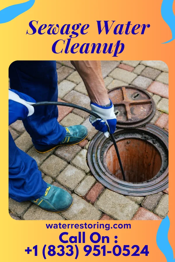 Sewage Water Cleanup in McKeansburg, PA